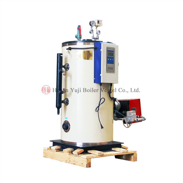 Fuel Gas Steam Generator Price